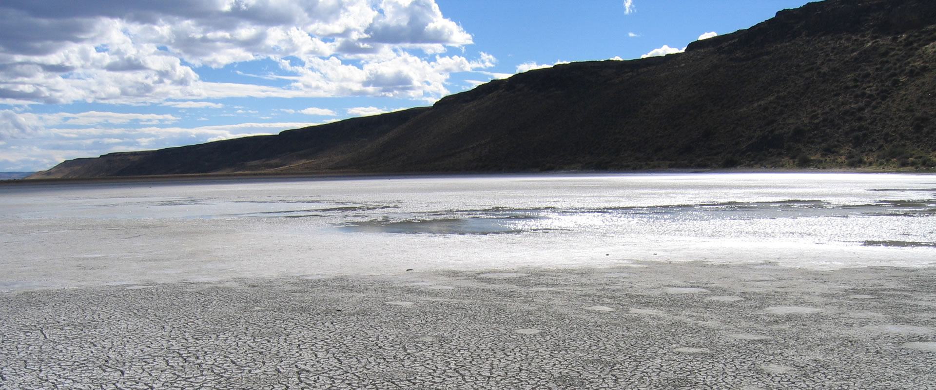 Environmental Andes